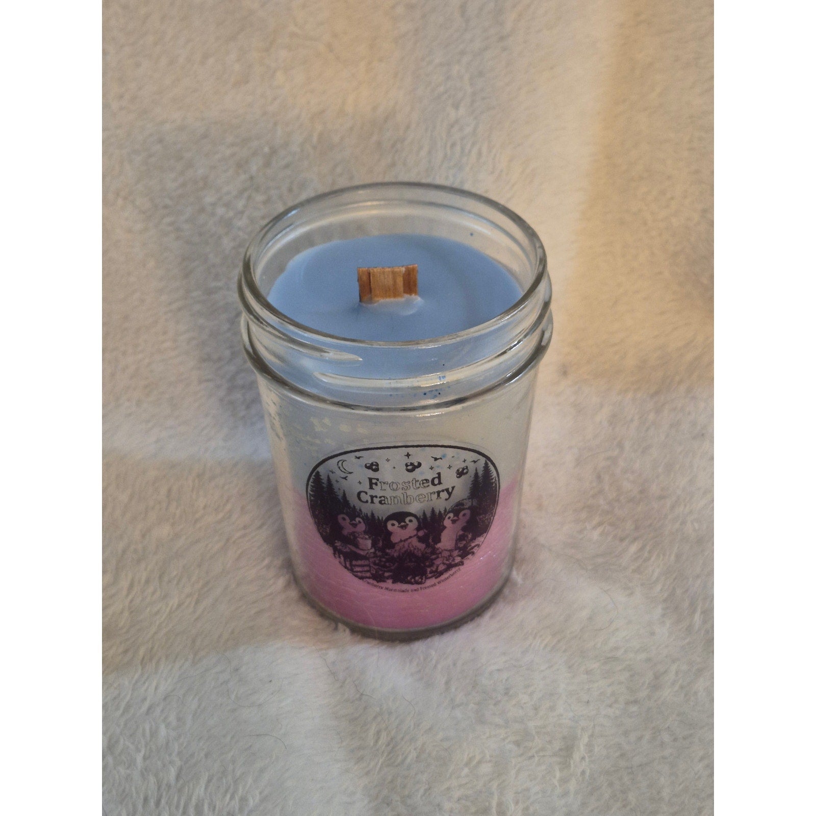 Homemade "Frosted Cranberry" Candle, 9oz