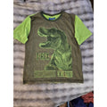 Boys T-Rex Dinosaur T-Shirt