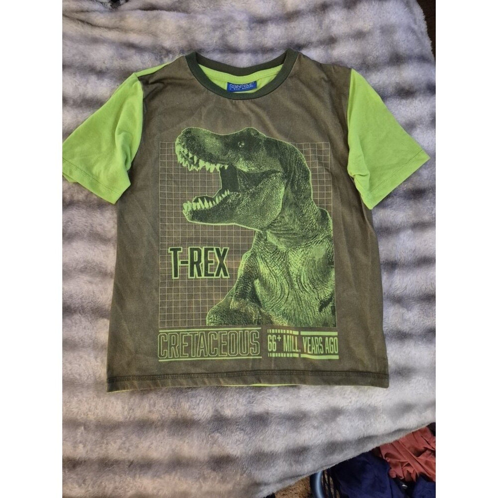 Boys T-Rex Dinosaur T-Shirt